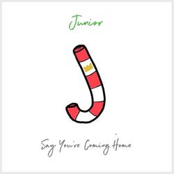 Say You're Coming Home