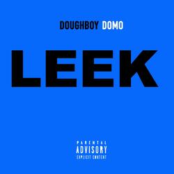Leek (feat. Dj Lights Out)