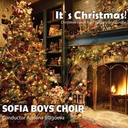 A Cuckoo Is Cuckooing