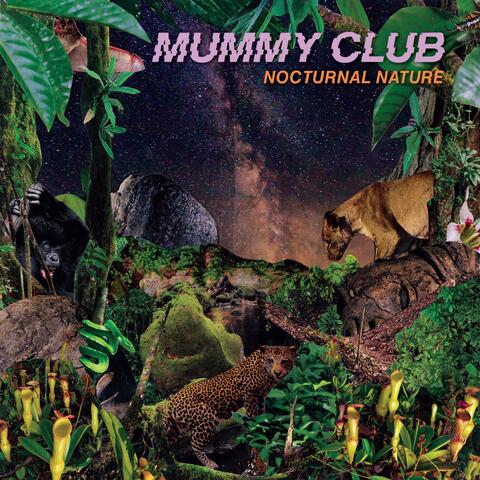 Nocturnal Nature