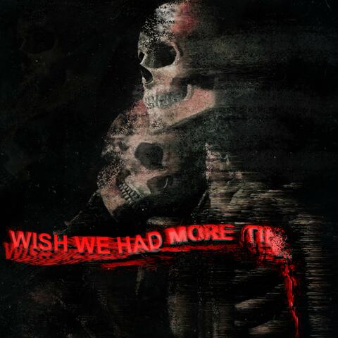 Wish We Had More Time
