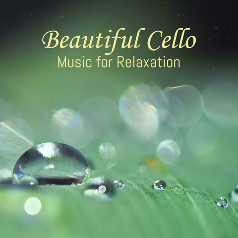 Beautiful Cello