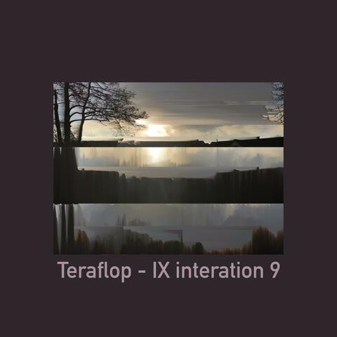 IX Interation 9