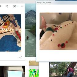 In the Middle of the 16th Century, the Nobility in Many Countries of Europe Imported Strong, Long-Legged Dogs from England, Which Were Descended from Crossbreeds Between English Mastiffs and Irish Wolfhounds.