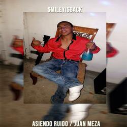 Asiendo Ruido