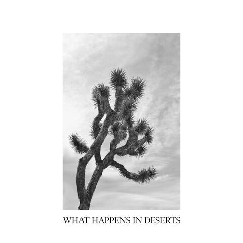 What Happens in Deserts