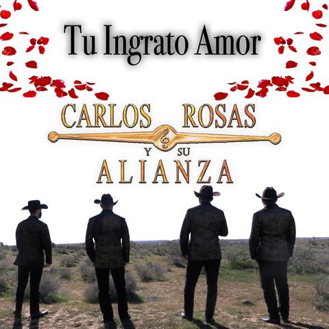 Tu Ingrato Amor