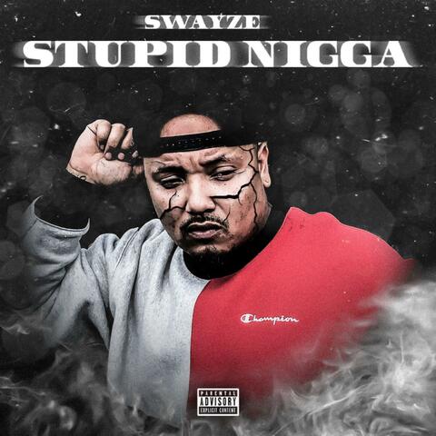 Stupid Nigga