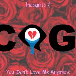 You Don't Love Me Anymore
