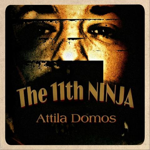 The 11th Ninja