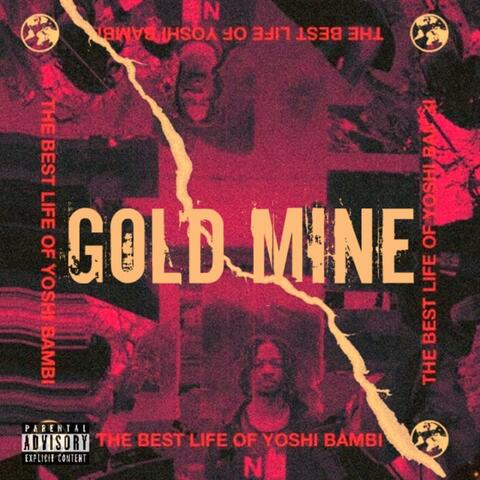 Gold Mine