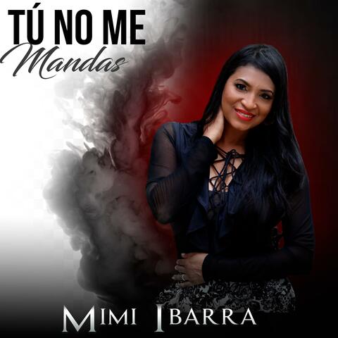 Tu No Me Mandas