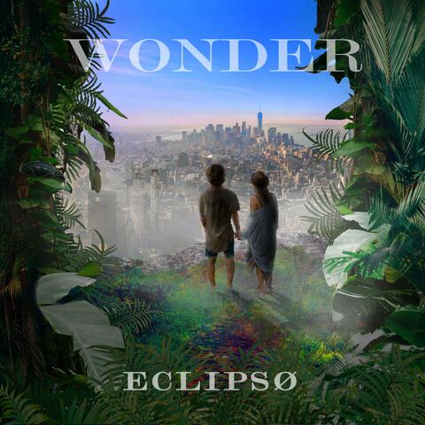 Wonder