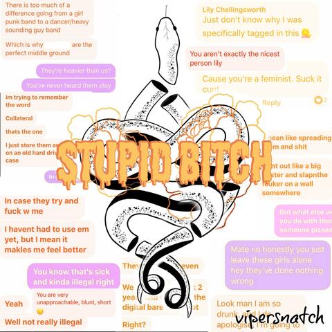 Stupid Bitch