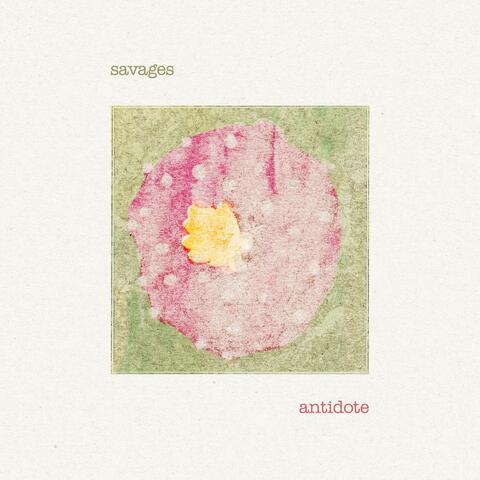 Antidote