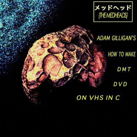 Adam Gilligans How to Make DMT DVD on VHS in C