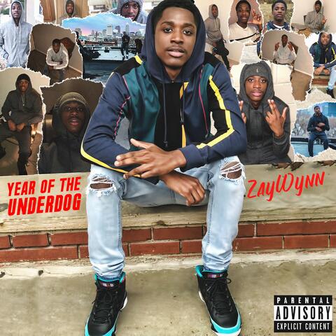Year of the Underdog