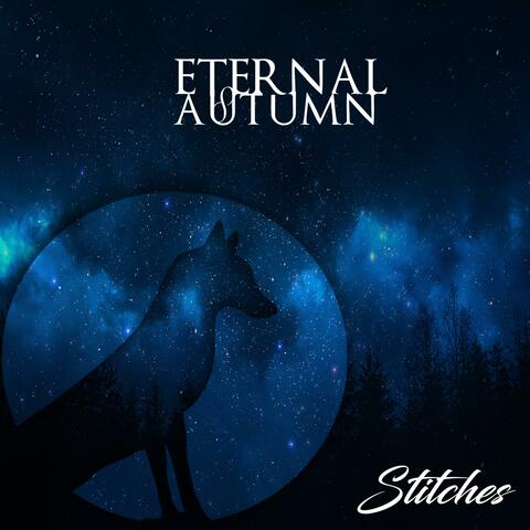 Stitches