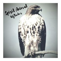 Spirit Animal
