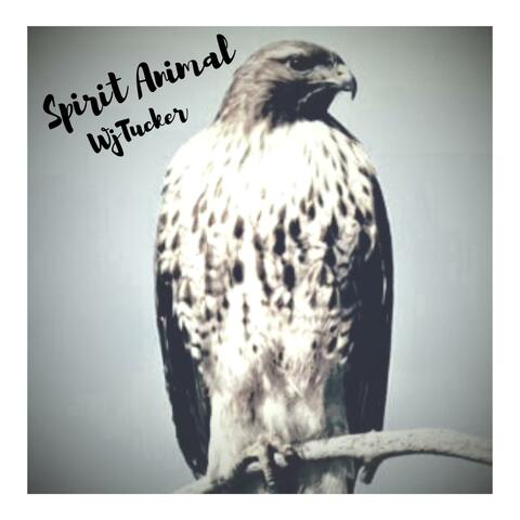 Spirit Animal