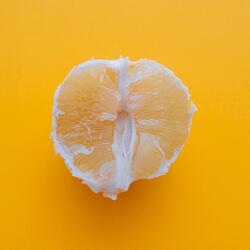 Domesticated Detestation