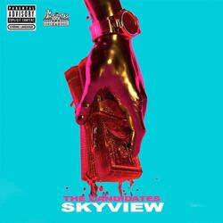 Skyview