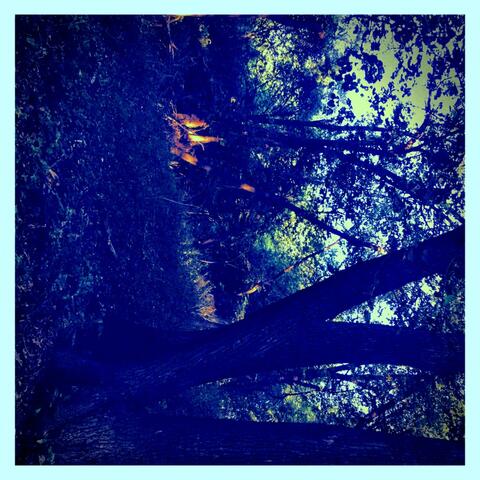 Broken Lines EP