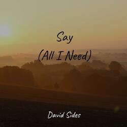 Say (All I Need)