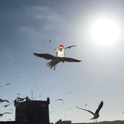 King Melodica Defeats the Horsemen of the Apocalypse.