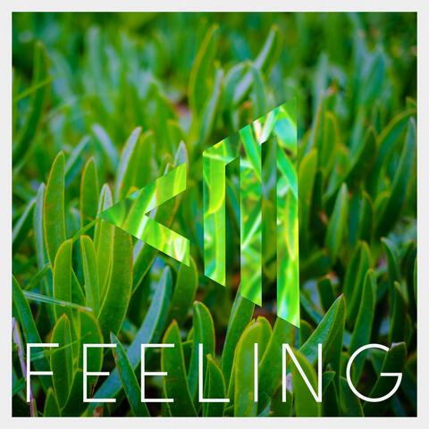 Feeling
