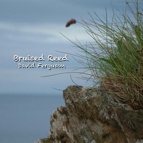 Bruised Reed