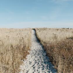 Nowhere to Go