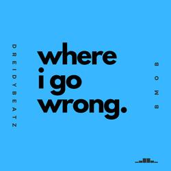 Where I Go Wrong