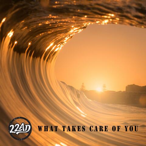 What Takes Care of You