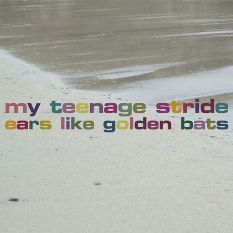 My Teenage Stride