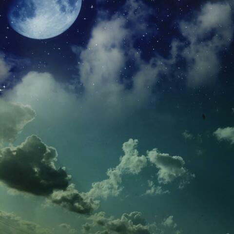To the Moon