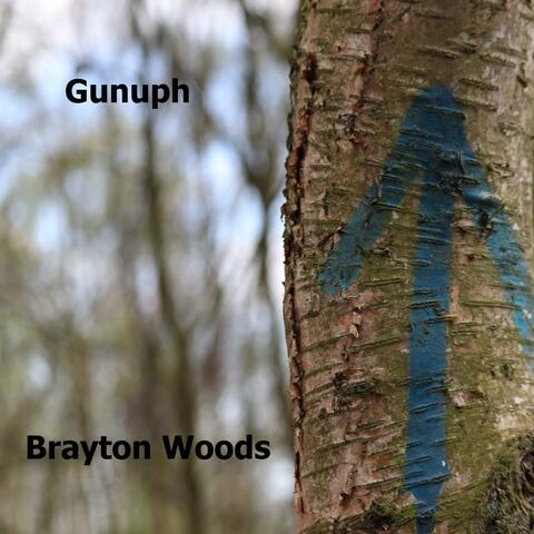 Brayton Woods