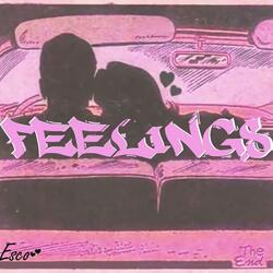 Feelings