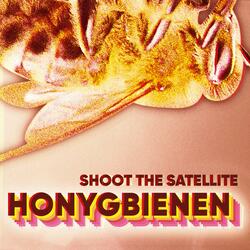 Honygbienen