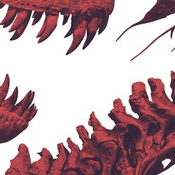 Tyrannosaurus