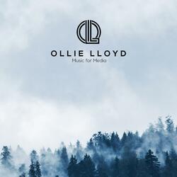 The Demise of the Rainforest