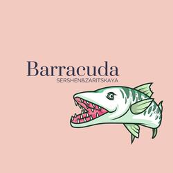 Barracuda