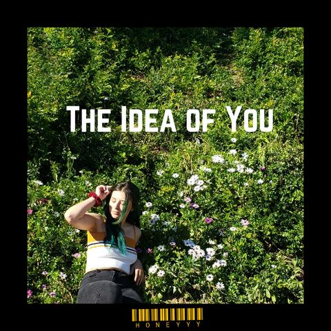 The Idea of You