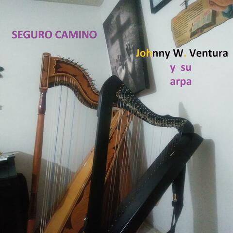Seguro Camino