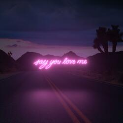 Say You Love Me