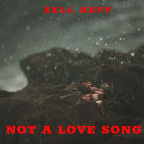 Not a Love Song