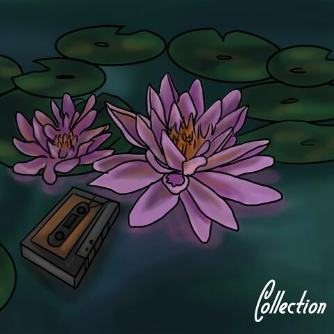Collection