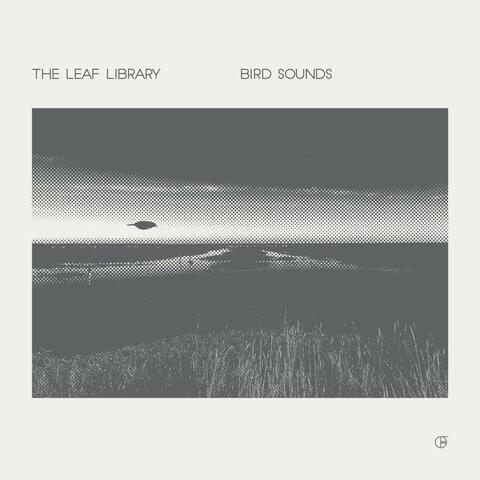 Bird Sounds