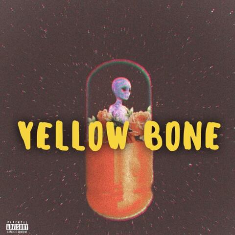 Yellow Bone