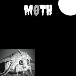 Moth